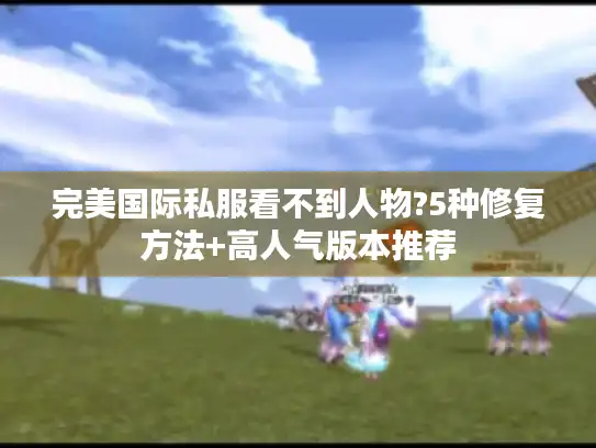 完美国际私服看不到人物?5种修复方法+高人气版本推荐