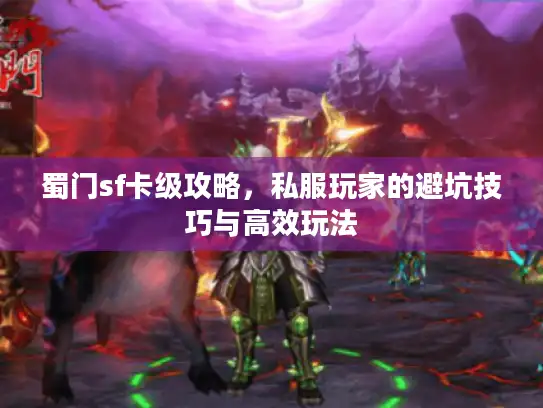 蜀门sf卡级攻略，私服玩家的避坑技巧与高效玩法