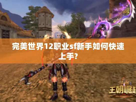 完美世界12职业sf新手如何快速上手?