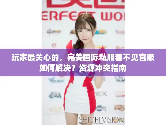 玩家最关心的,完美国际私服看不见官服如何解决?资源冲突指南 玩家最关心的,完美国际私服看不见官服如何解决?资源冲突指南