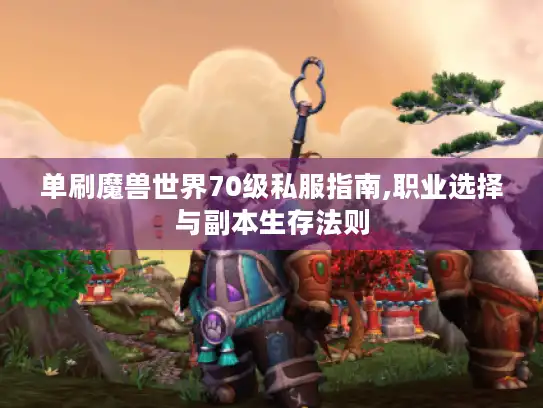 单刷魔兽世界70级私服指南,职业选择与副本生存法则
