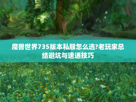 魔兽世界735版本私服怎么选?老玩家总结避坑与速通技巧 魔兽世界735版本私服怎么选?老玩家总结避坑与速通技巧