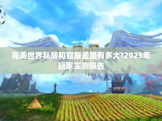 完美世界私服和官服差距有多大?2025年玩家实测报告 完美世界私服和官服差距有多大?2025年玩家实测报告