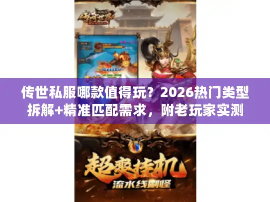 传世私服哪款值得玩?2026热门类型拆解+精准匹配需求,附老玩家实测 传世私服哪款值得玩?2026热门类型拆解+精准匹配需求,附老玩家实测