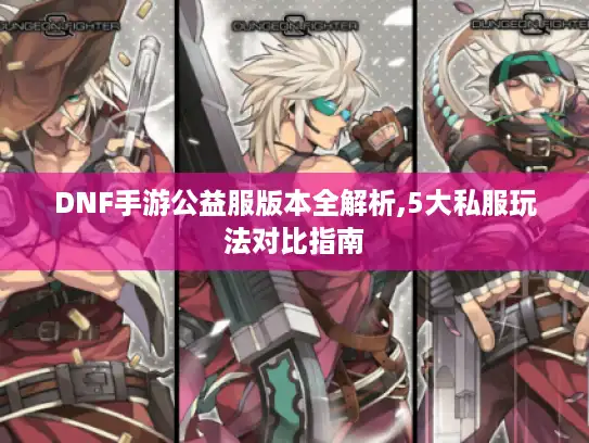 DNF手游公益服版本全解析,5大私服玩法对比指南