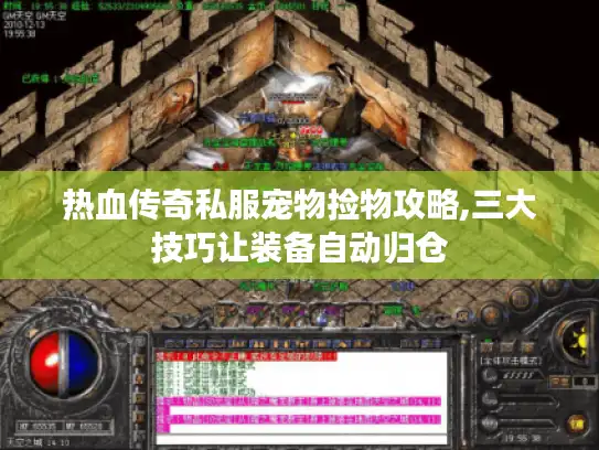 热血传奇私服宠物捡物攻略,三大技巧让装备自动归仓