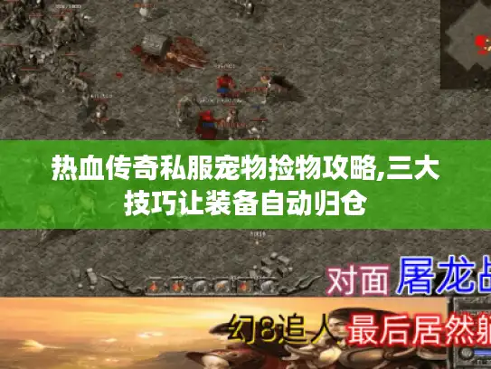 热血传奇私服宠物捡物攻略,三大技巧让装备自动归仓