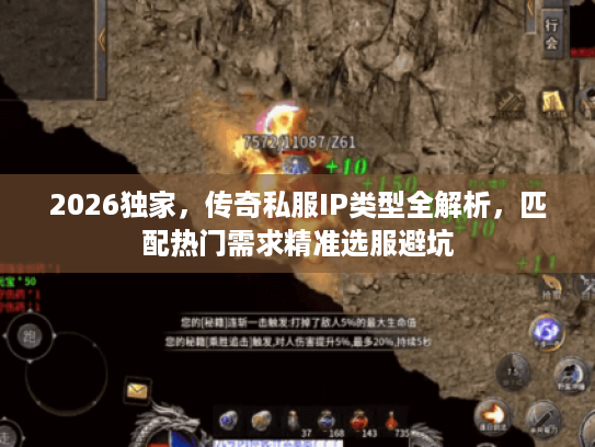 2026独家，传奇私服IP类型全解析，匹配热门需求精准选服避坑