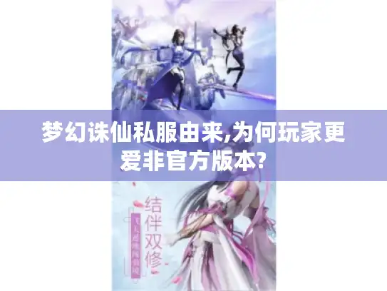 梦幻诛仙私服由来,为何玩家更爱非官方版本?