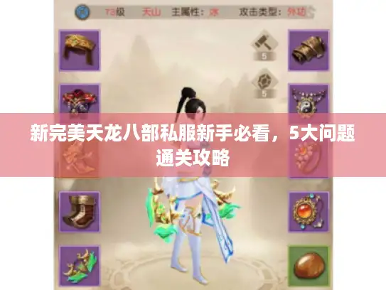 新完美天龙八部私服新手必看，5大问题通关攻略