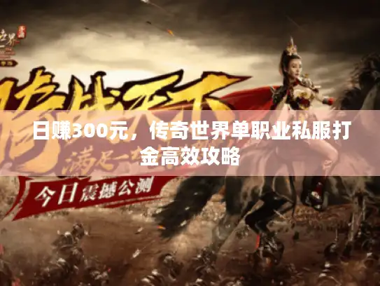 日赚300元，传奇世界单职业私服打金高效攻略