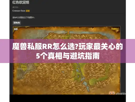 魔兽私服RR怎么选?玩家最关心的5个真相与避坑指南