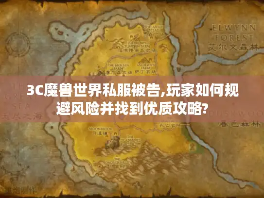 3C魔兽世界私服被告,玩家如何规避风险并找到优质攻略?