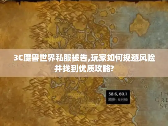 3C魔兽世界私服被告,玩家如何规避风险并找到优质攻略?