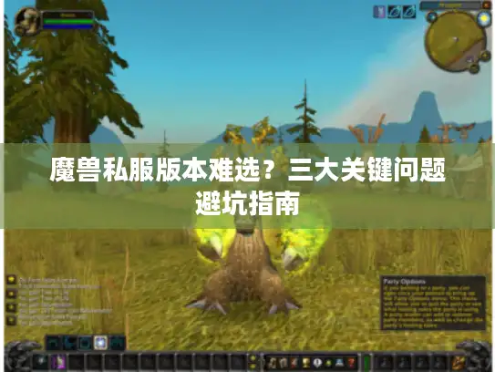魔兽私服版本难选？三大关键问题避坑指南