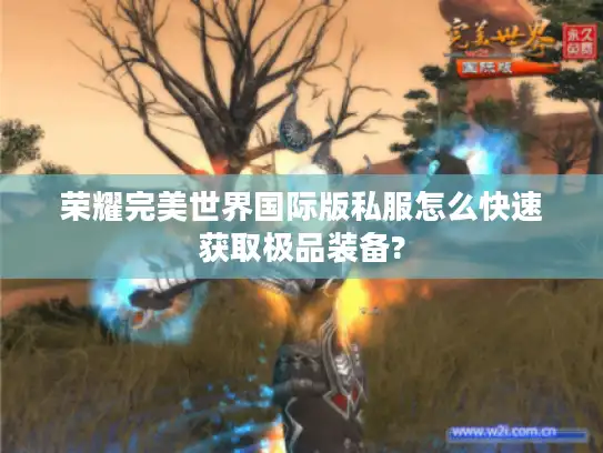 荣耀完美世界国际版私服怎么快速获取极品装备?