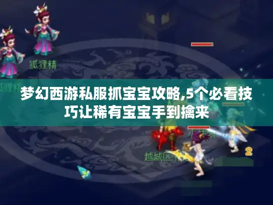 梦幻西游私服抓宝宝攻略,5个必看技巧让稀有宝宝手到擒来