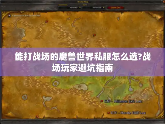能打战场的魔兽世界私服怎么选?战场玩家避坑指南 能打战场的魔兽世界私服怎么选?战场玩家避坑指南