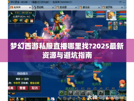 梦幻西游私服直播哪里找?2025最新资源与避坑指南