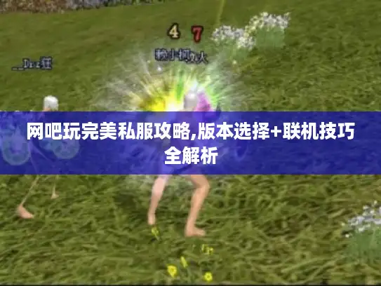 网吧玩完美私服攻略,版本选择+联机技巧全解析