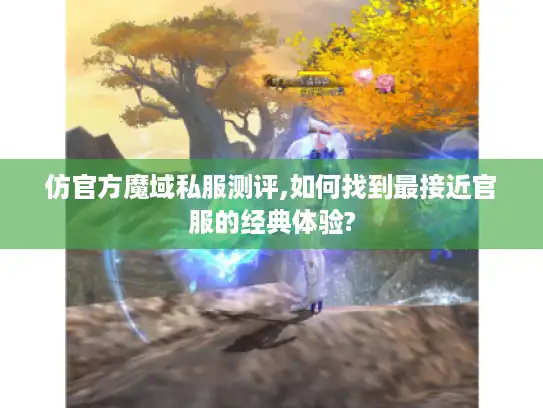 仿官方魔域私服测评,如何找到最接近官服的经典体验?
