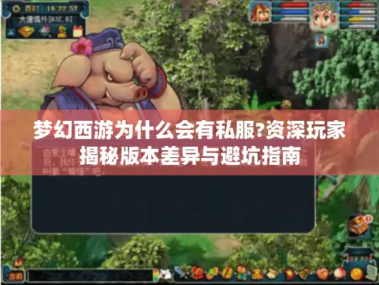 梦幻西游为什么会有私服?资深玩家揭秘版本差异与避坑指南