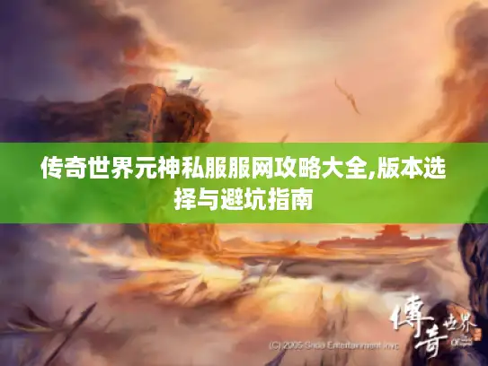 传奇世界元神私服服网攻略大全,版本选择与避坑指南
