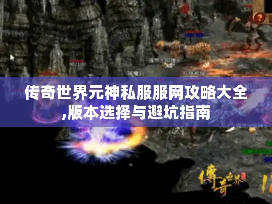 传奇世界元神私服服网攻略大全,版本选择与避坑指南