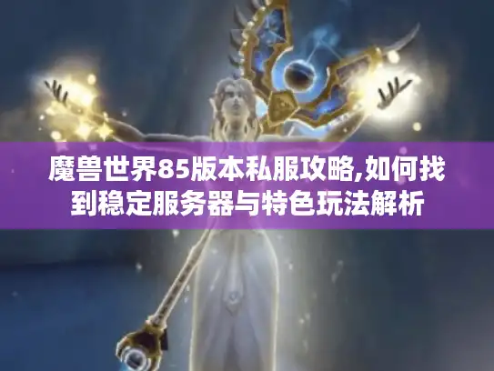 魔兽世界85版本私服攻略,如何找到稳定服务器与特色玩法解析