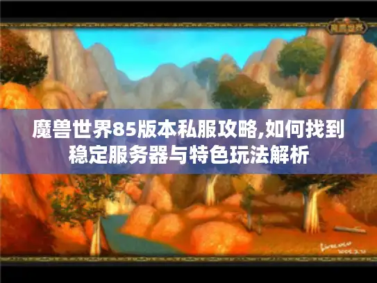 魔兽世界85版本私服攻略,如何找到稳定服务器与特色玩法解析