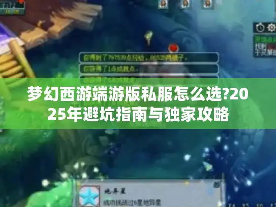 梦幻西游端游版私服怎么选?2025年避坑指南与独家攻略
