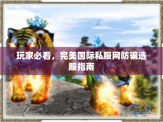 玩家必看,完美国际私服网防骗选服指南 玩家必看,完美国际私服网防骗选服指南