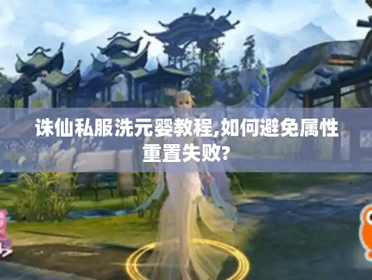 诛仙私服洗元婴教程,如何避免属性重置失败?