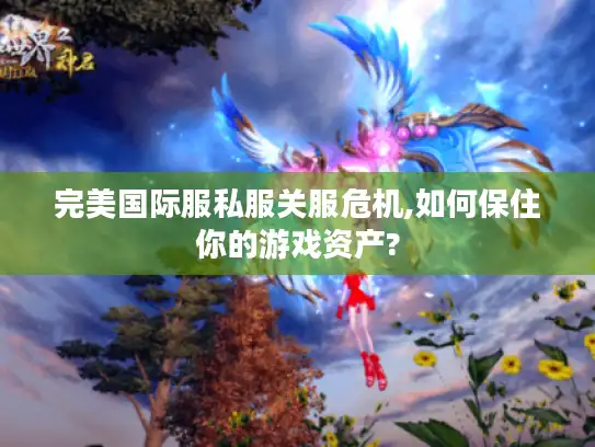 完美国际服私服关服危机,如何保住你的游戏资产?