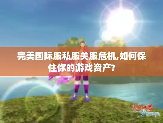 完美国际服私服关服危机,如何保住你的游戏资产?