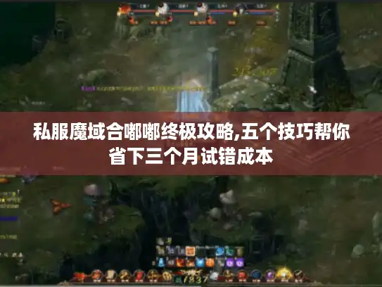 私服魔域合嘟嘟终极攻略,五个技巧帮你省下三个月试错成本
