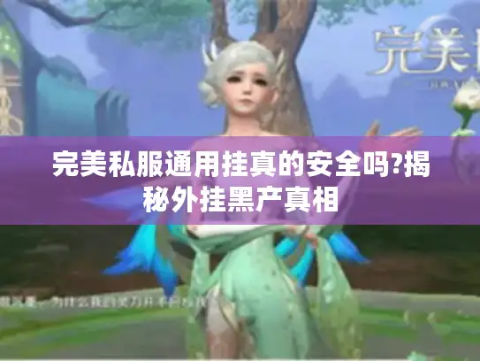 完美私服通用挂真的安全吗?揭秘外挂黑产真相