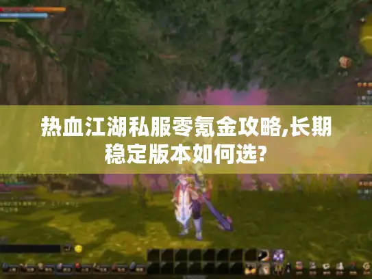 热血江湖私服零氪金攻略,长期稳定版本如何选?