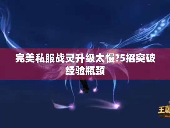完美私服战灵升级太慢?5招突破经验瓶颈
