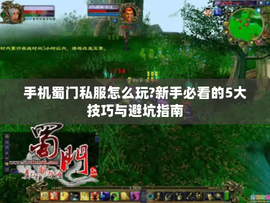 手机蜀门私服怎么玩?新手必看的5大技巧与避坑指南