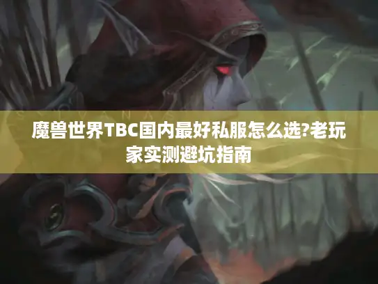 魔兽世界TBC国内最好私服怎么选?老玩家实测避坑指南