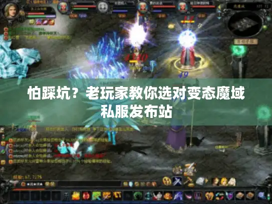 怕踩坑？老玩家教你选对变态魔域私服发布站