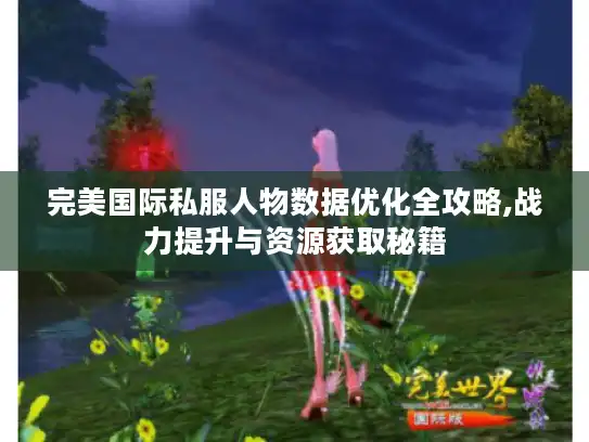 完美国际私服人物数据优化全攻略,战力提升与资源获取秘籍