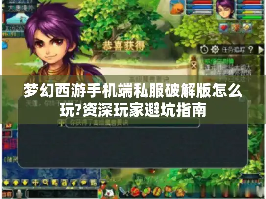 梦幻西游手机端私服破解版怎么玩?资深玩家避坑指南