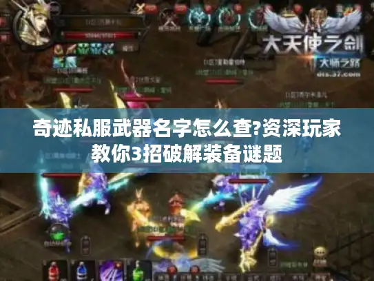 奇迹私服武器名字怎么查?资深玩家教你3招破解装备谜题