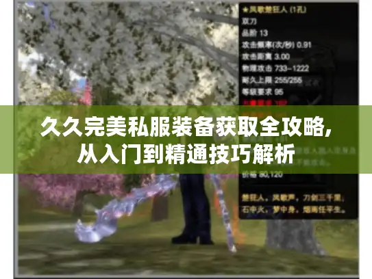 久久完美私服装备获取全攻略,从入门到精通技巧解析