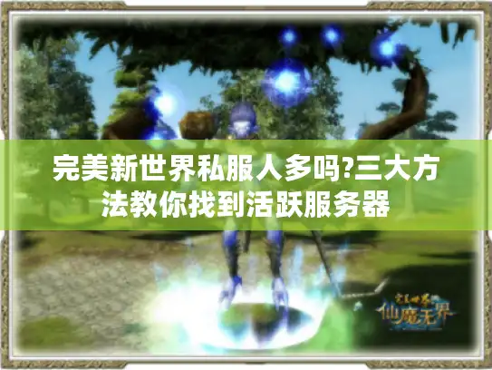 完美新世界私服人多吗?三大方法教你找到活跃服务器