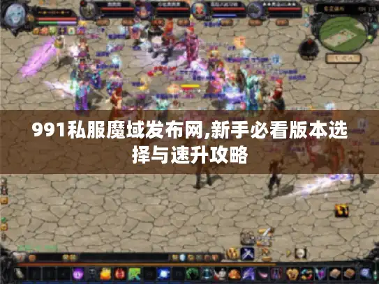 991私服魔域发布网,新手必看版本选择与速升攻略