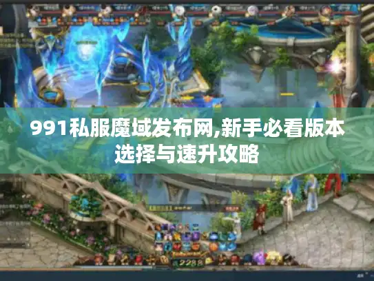 991私服魔域发布网,新手必看版本选择与速升攻略