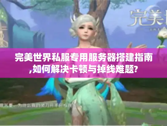 完美世界私服专用服务器搭建指南,如何解决卡顿与掉线难题?